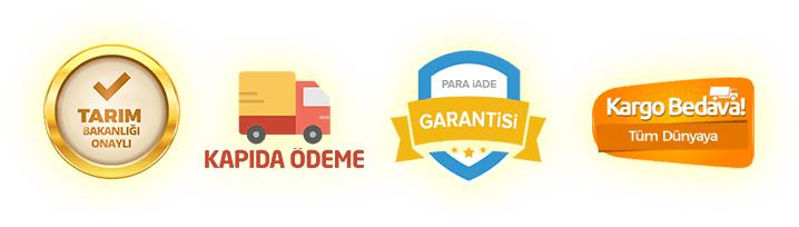 Güvenlik Sertifikaları