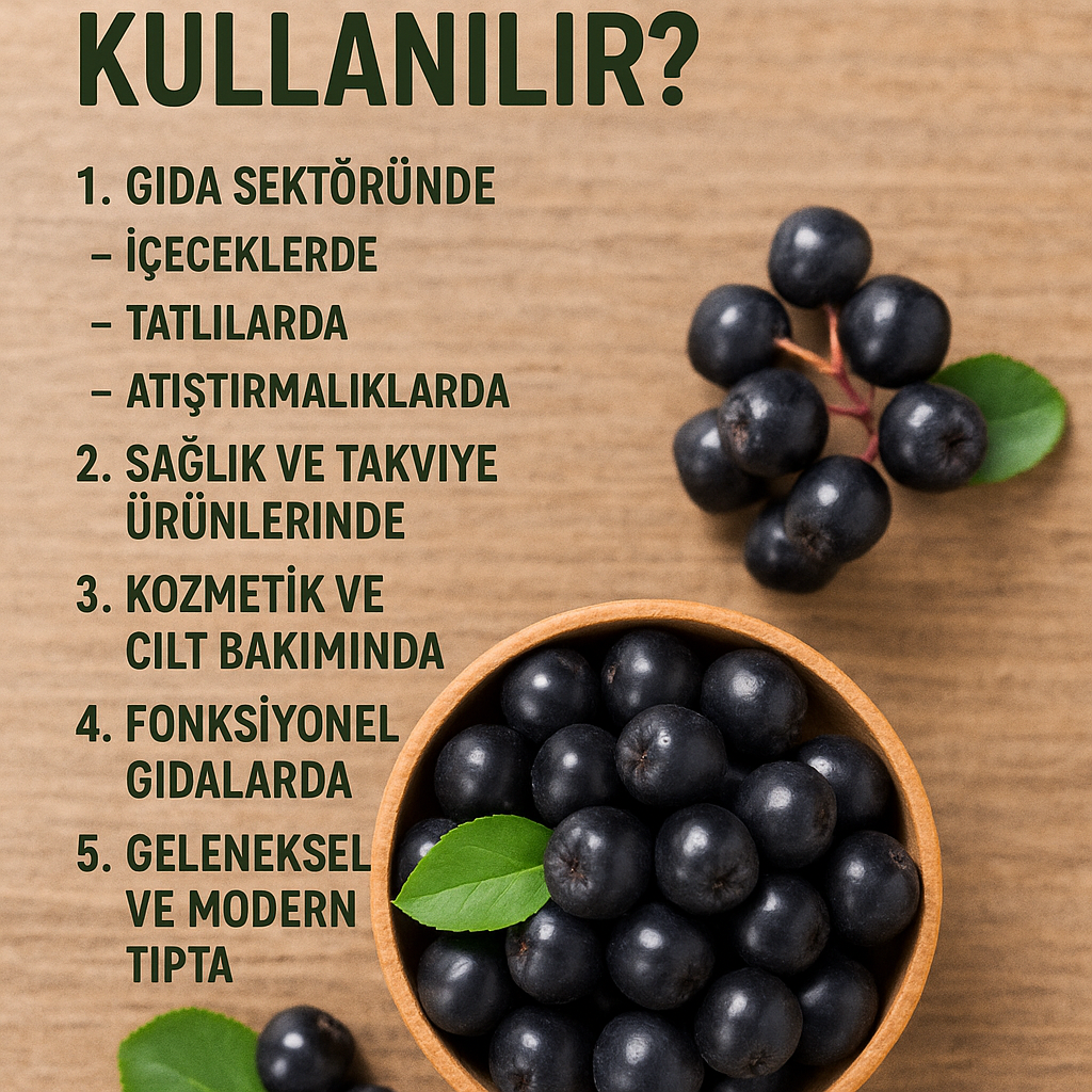 Aronya Nerede Kullanılır? Süper Meyvenin Hayatımıza Katkıları